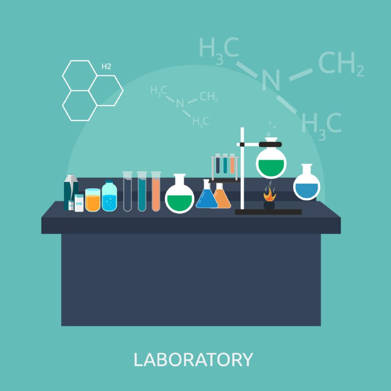 pyrimidine and purine synthesis