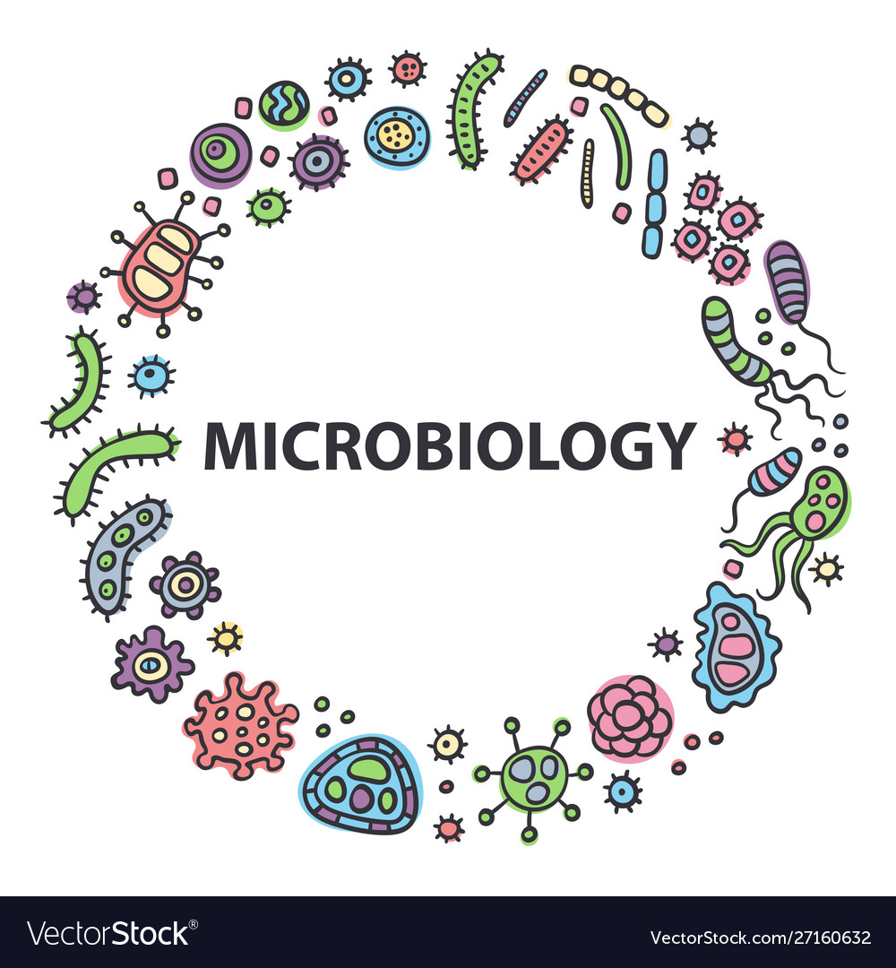 lecture two (streptococci part one)